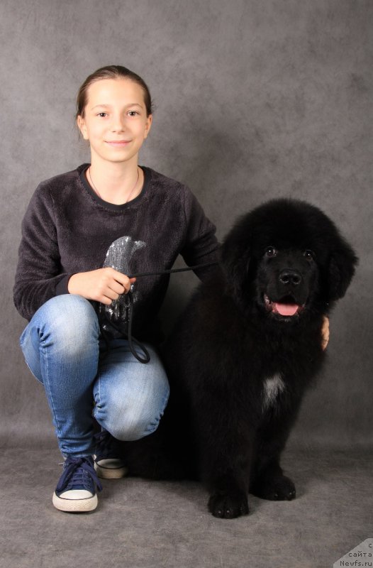 Фотография № 216941