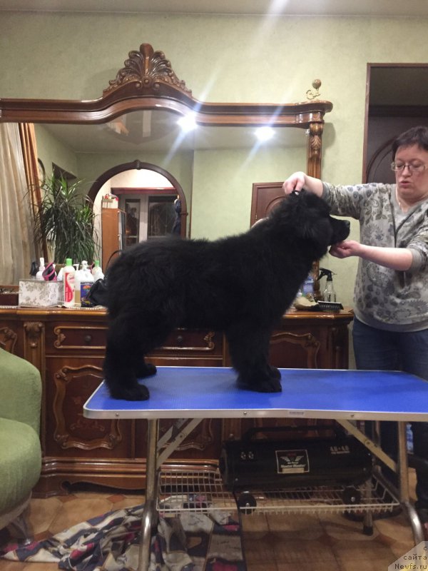 Фотография № 216942