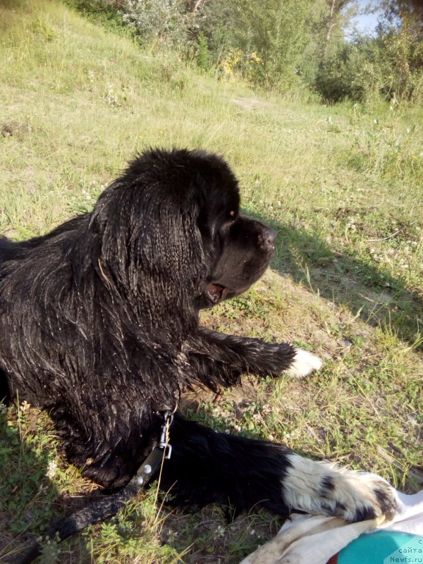 Фотография № 216944