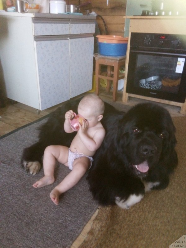 Фотография № 216945