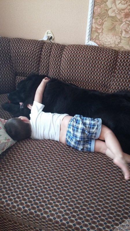 Фотография № 216947