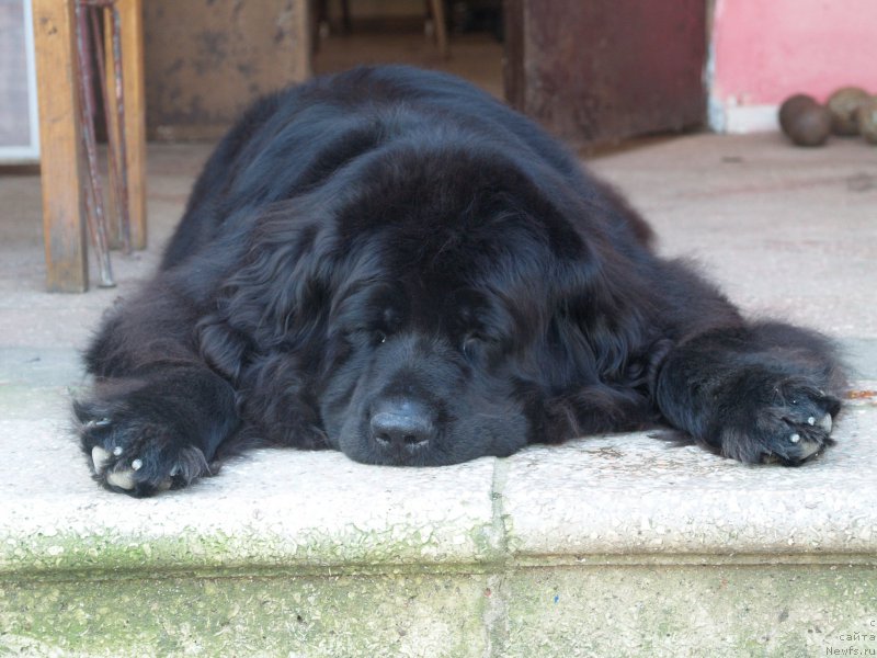 Фотография № 216948