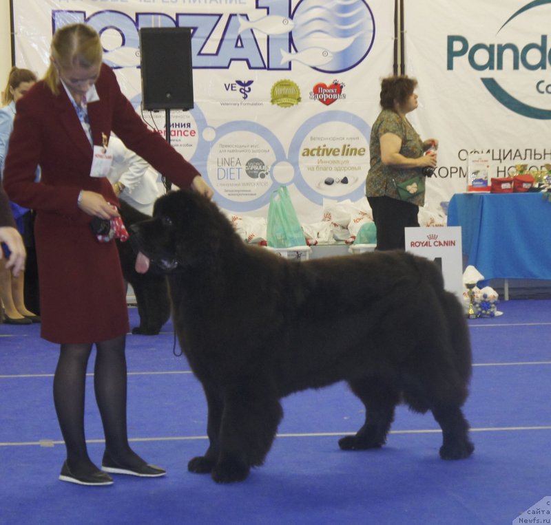 Фотография № 216956