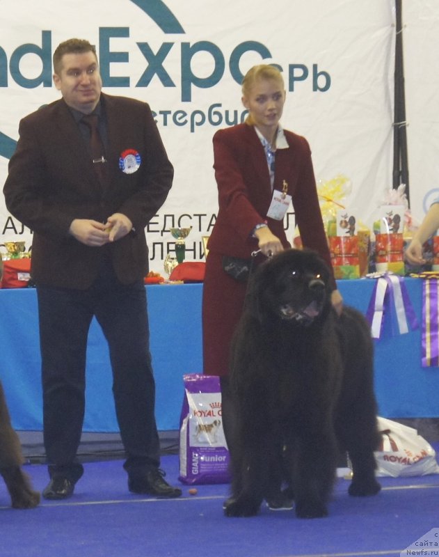 Фотография № 216958