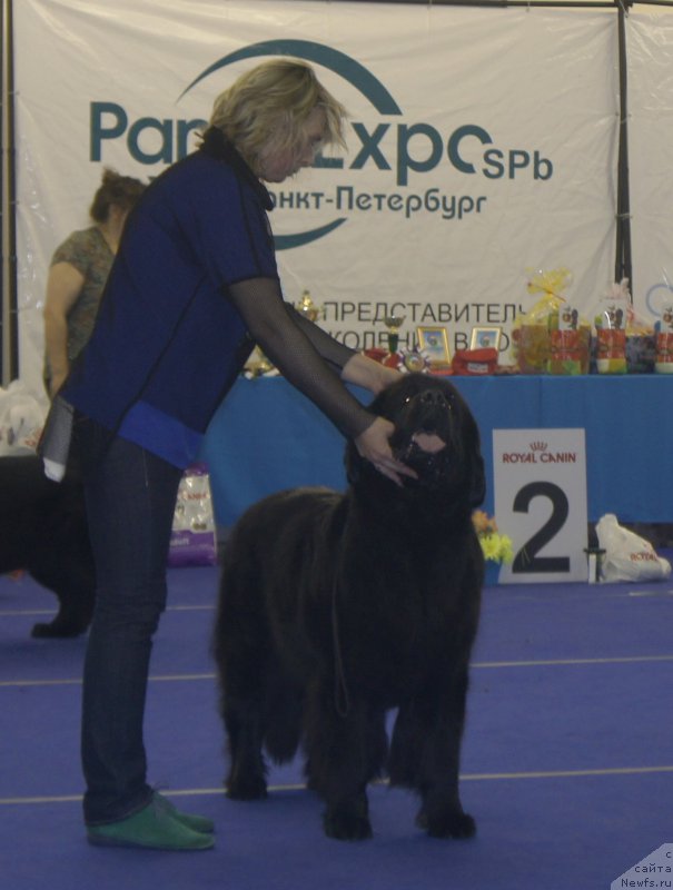 Фотография № 216961