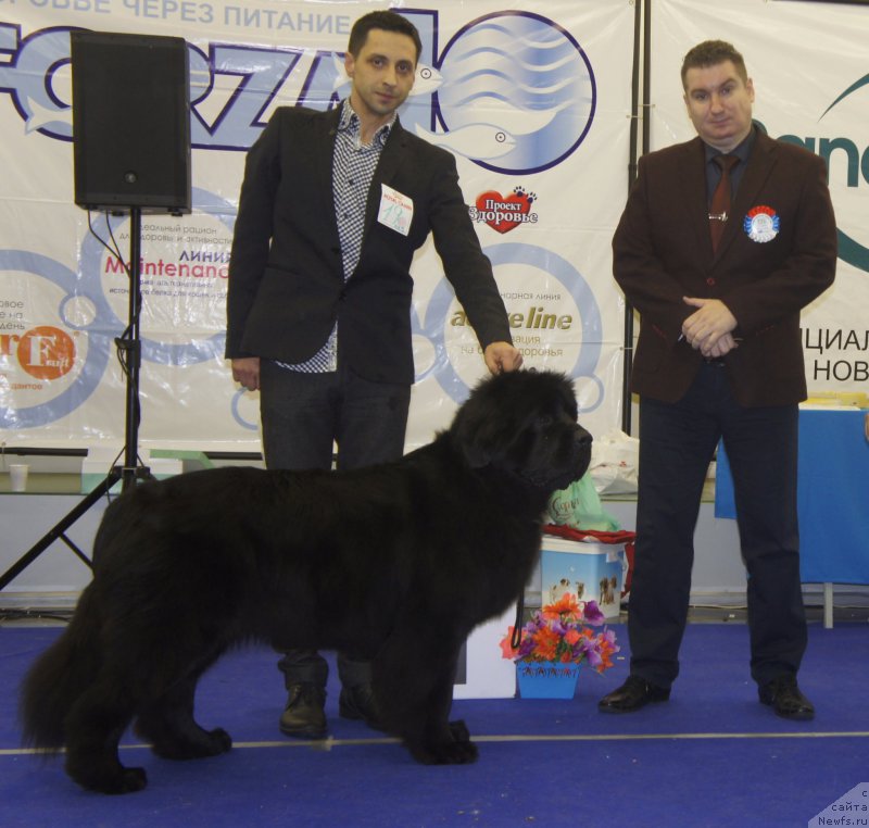 Фотография № 216966