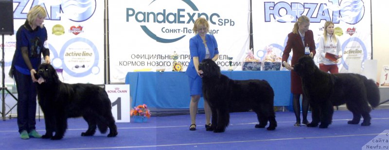 Фотография № 216973