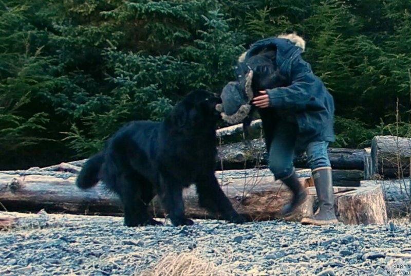 Фотография № 216979