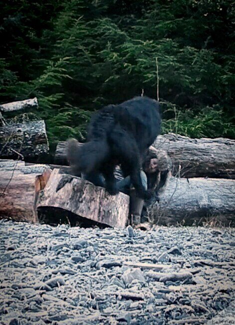 Фотография № 216980