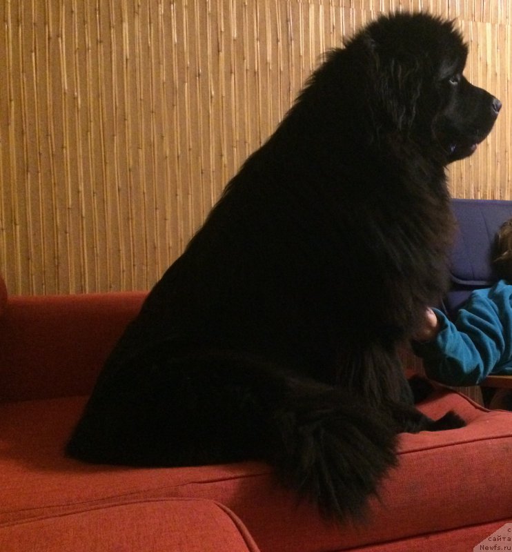 Фотография № 217058