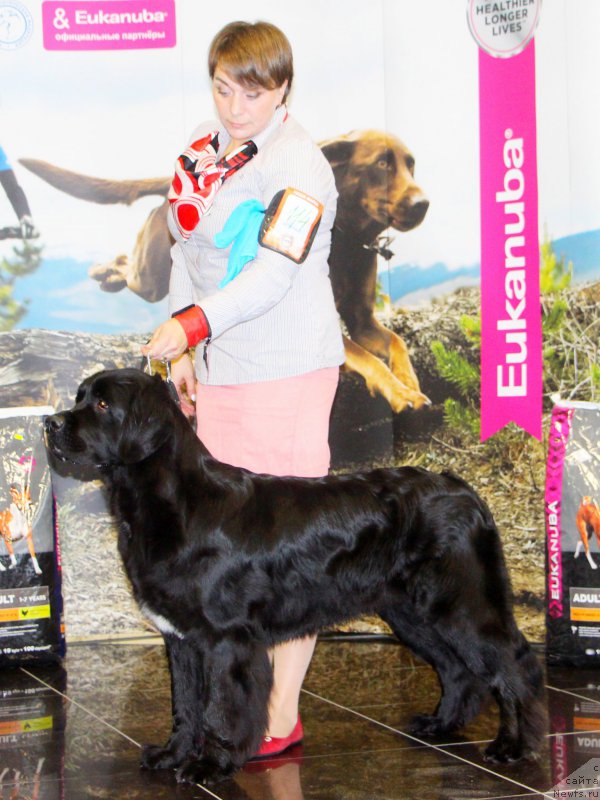 Фотография № 217091