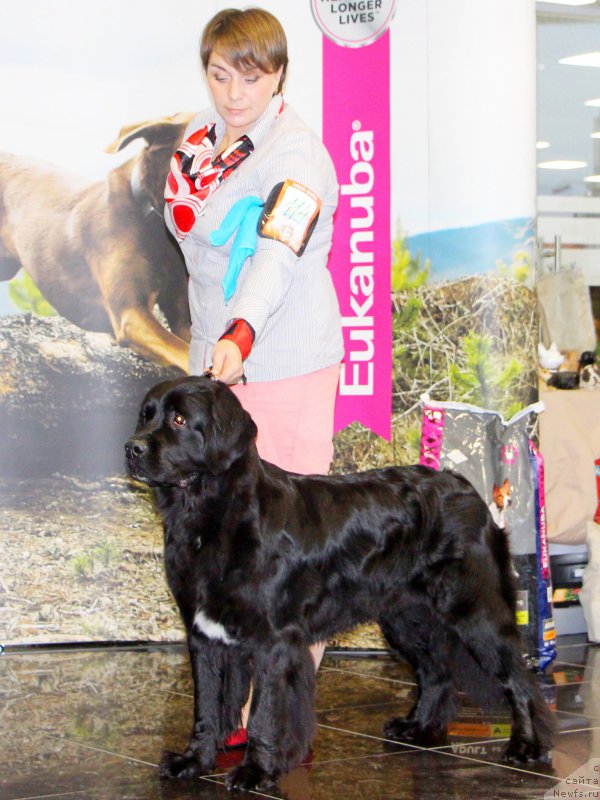 Фотография № 217093