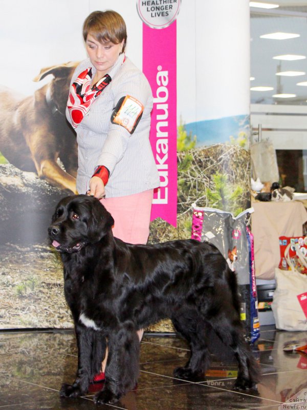 Фотография № 217094