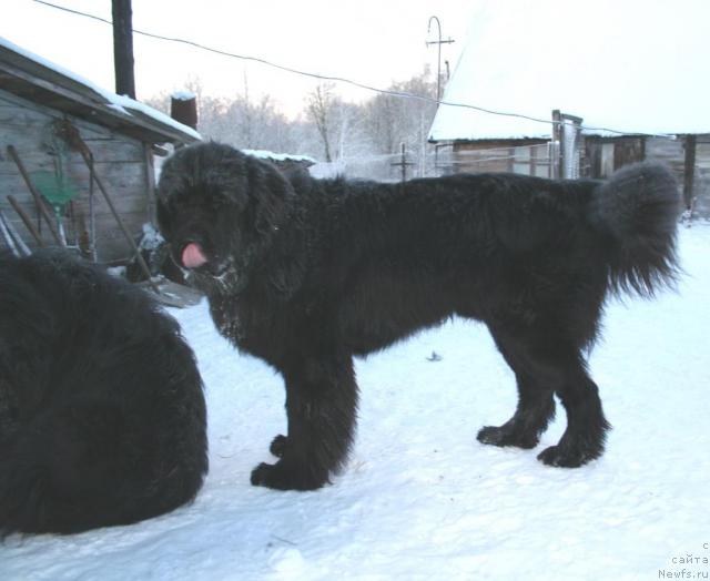 Фотография № 21711