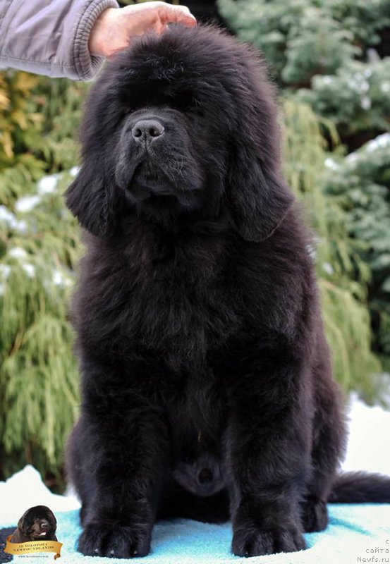 Фото: Виктор Хрищанович