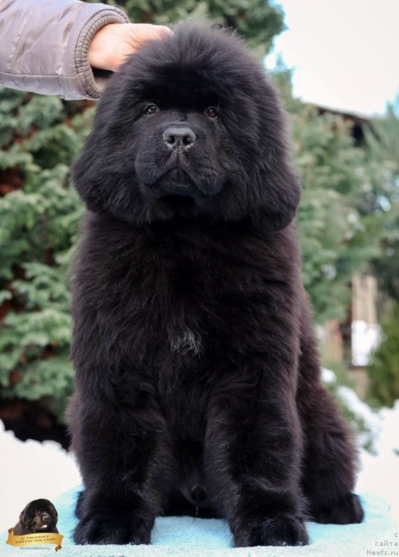 Фото: Виктор Хрищанович