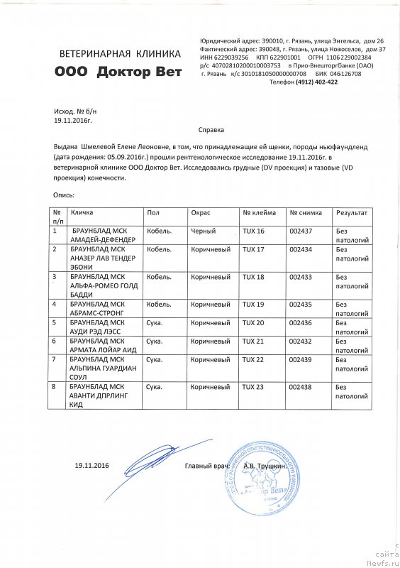 Фотография № 217122