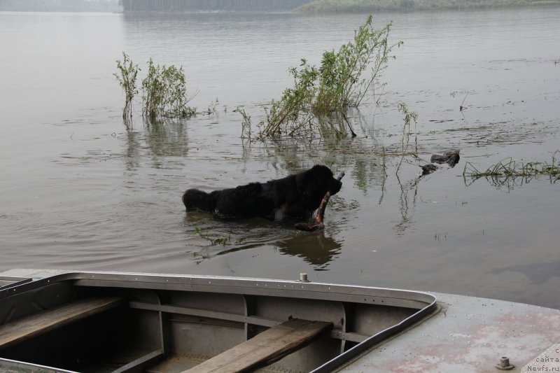 Фотография № 217239