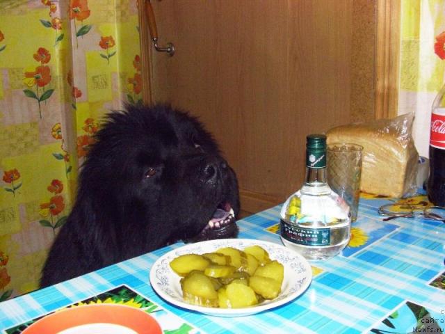 Фотография № 21726