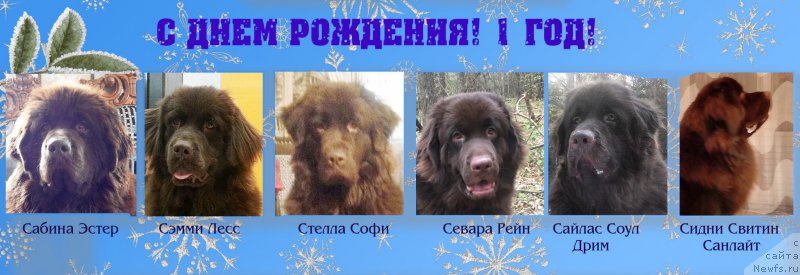 Фотография № 217312