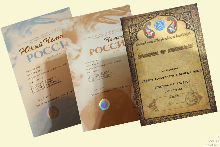 Фотография № 217375