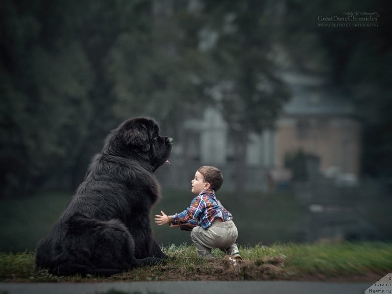 Фотография № 217401