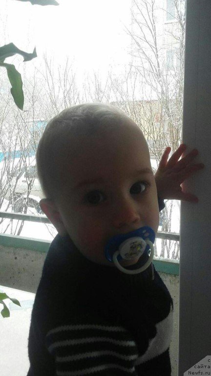 Фото: Елена Бажутина