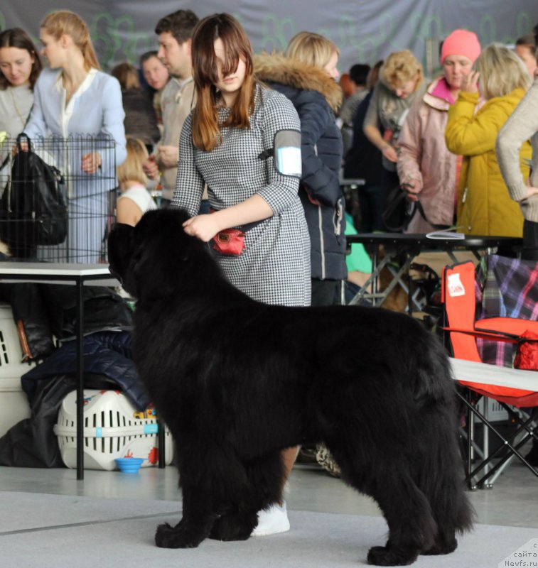 Фотография № 217441