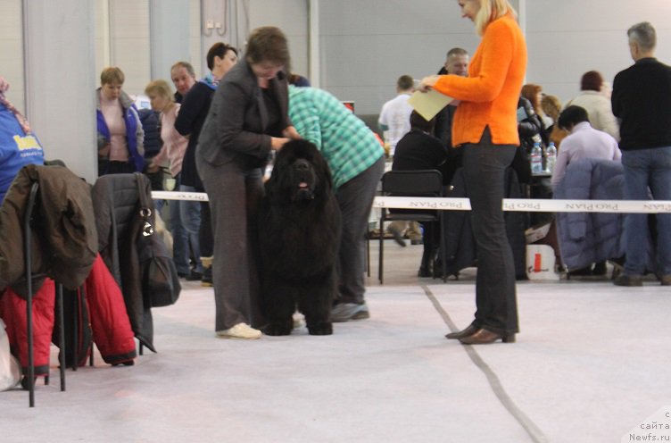 Фотография № 217443