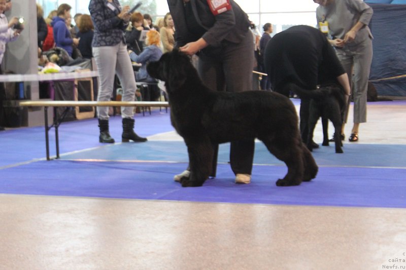 Фотография № 217444