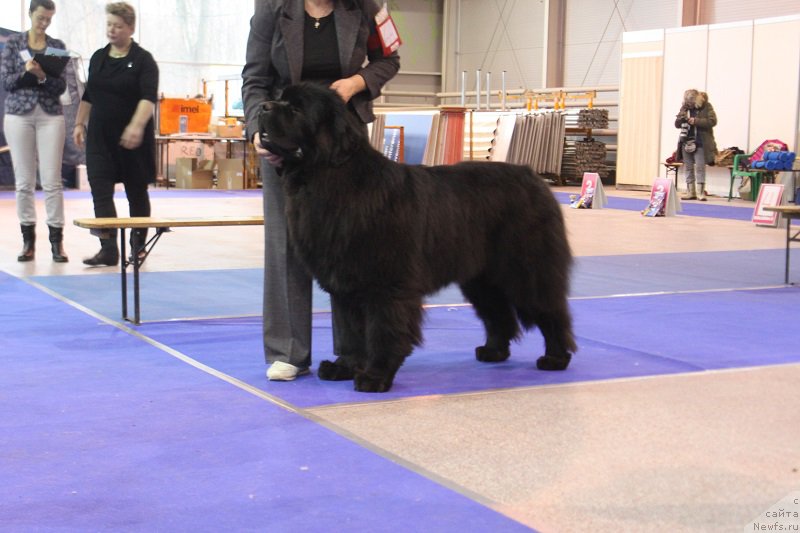 Фотография № 217445