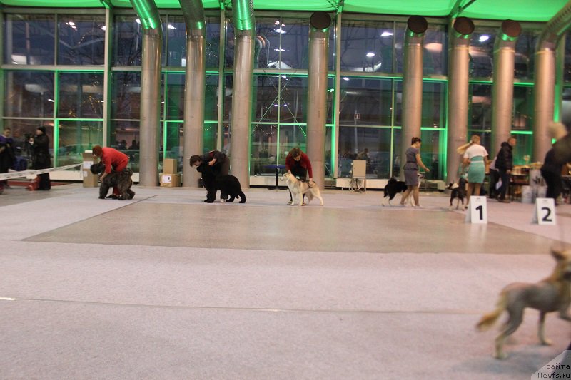 Фотография № 217446