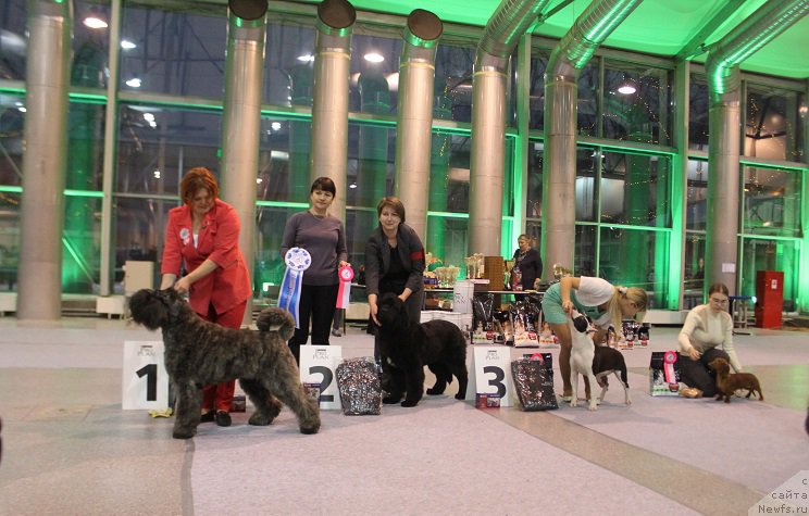 Фотография № 217447