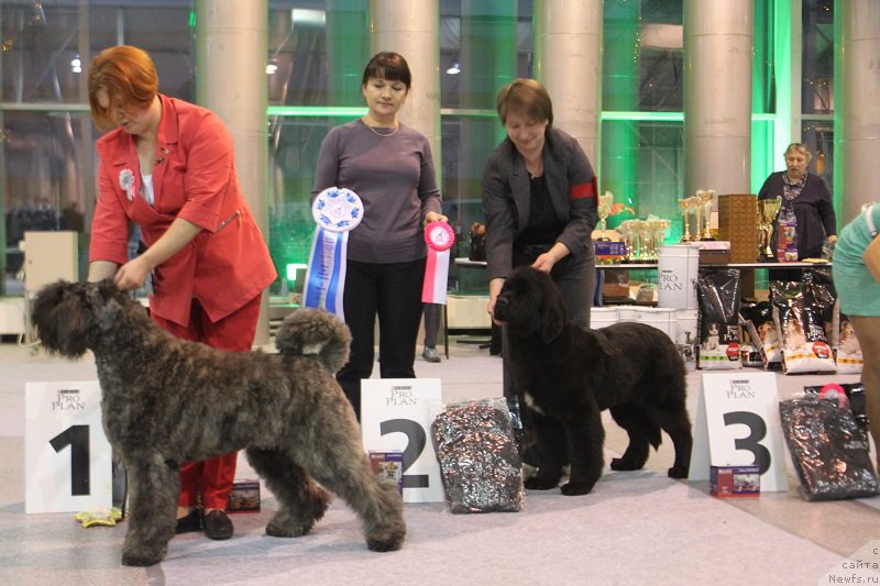 Фотография № 217448