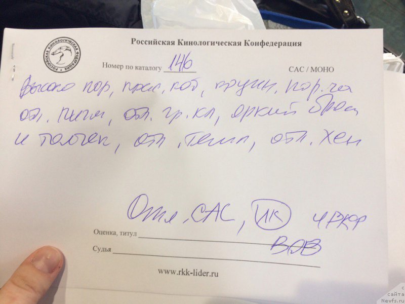 Фотография № 217450