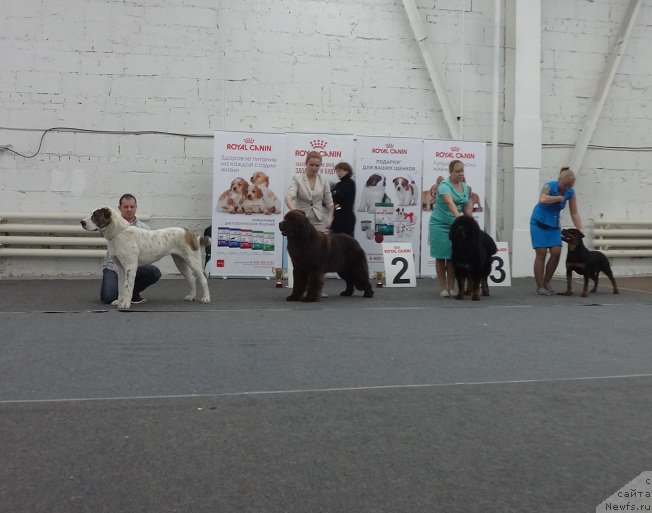 Фотография № 217464