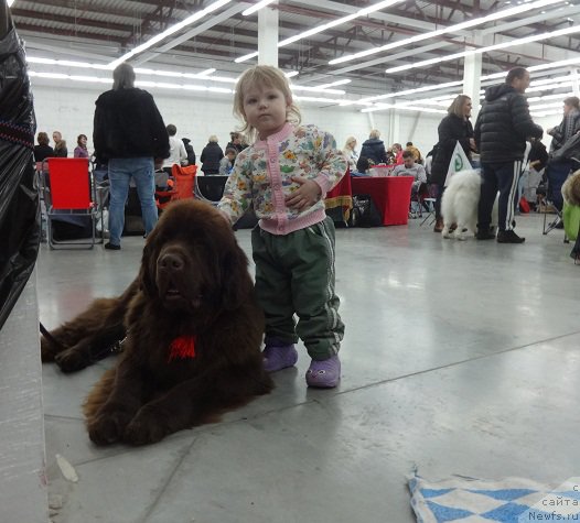 Фотография № 217466