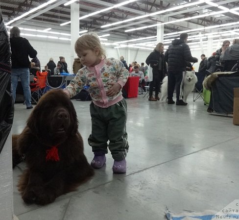 Фотография № 217467