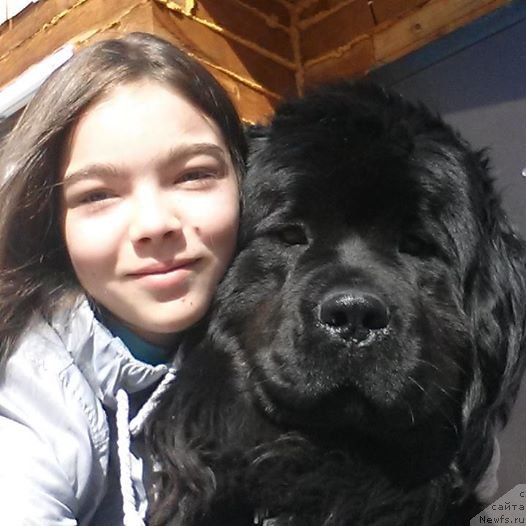 Фотография № 217479