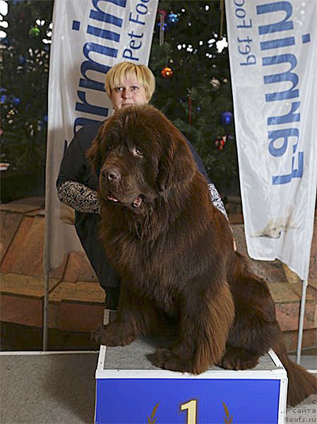 Фотография № 217521