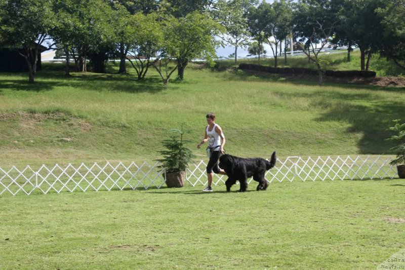 Фотография № 217523