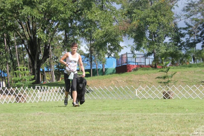 Фотография № 217525