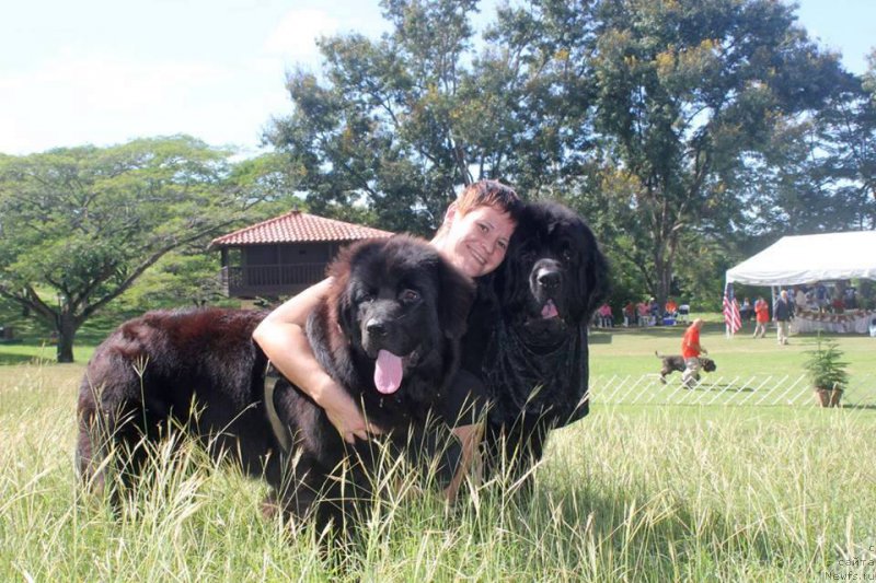 Фотография № 217529