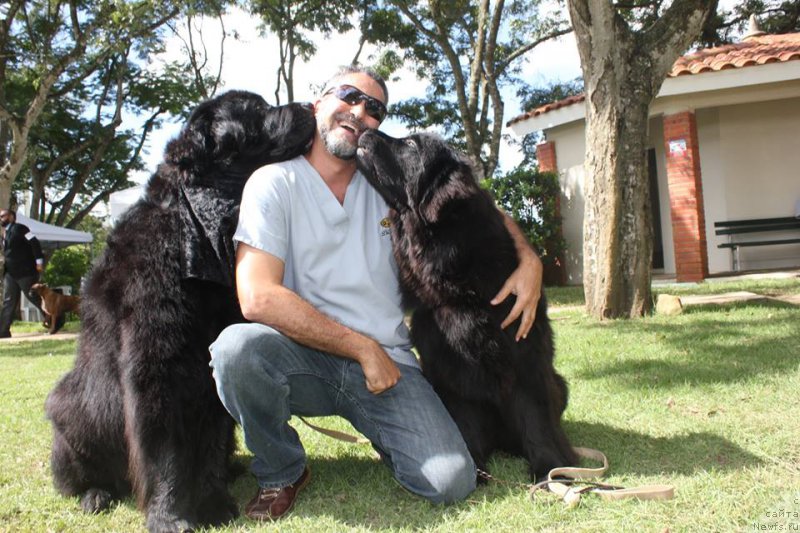 Фотография № 217532