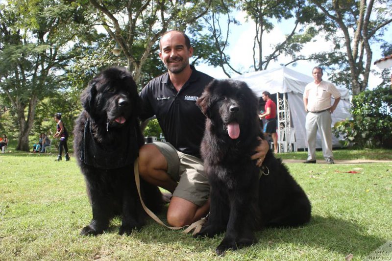 Фотография № 217533