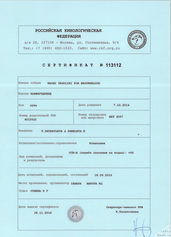 Фото: ньюфаундленд Наоми Таголири фор Браунблад (Naomi Tagoliri for Brouwnblood)