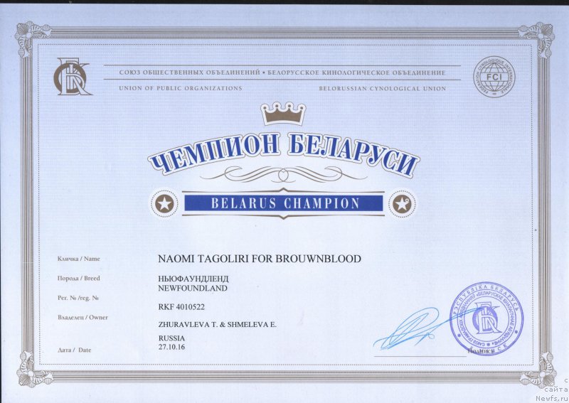 Фото: ньюфаундленд Наоми Таголири фор Браунблад (Naomi Tagoliri for Brouwnblood)