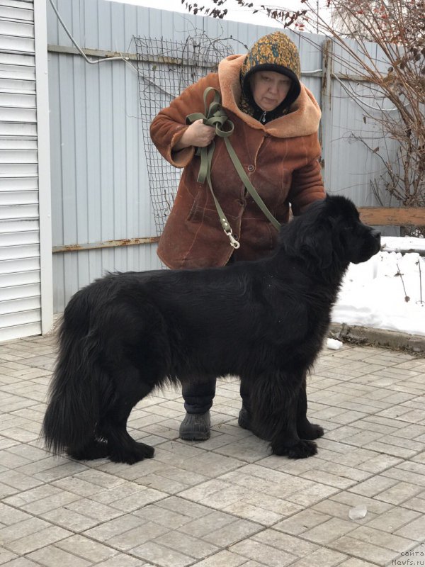 Фотография № 217613