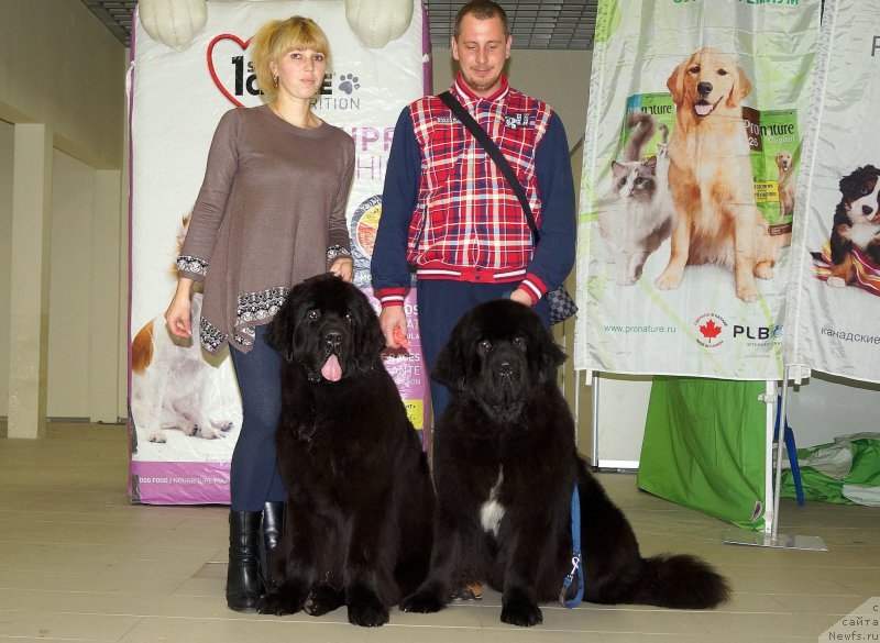 Фотография № 217614