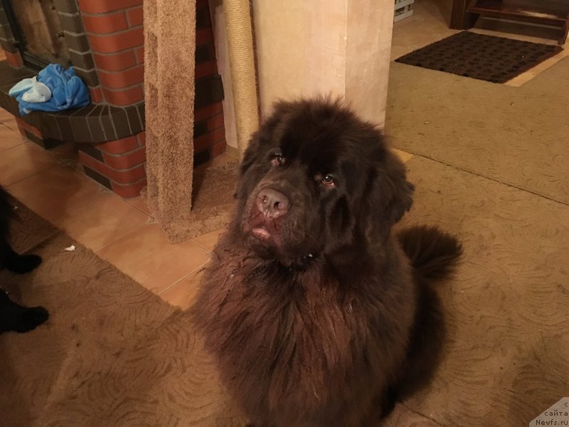 Фотография № 217631